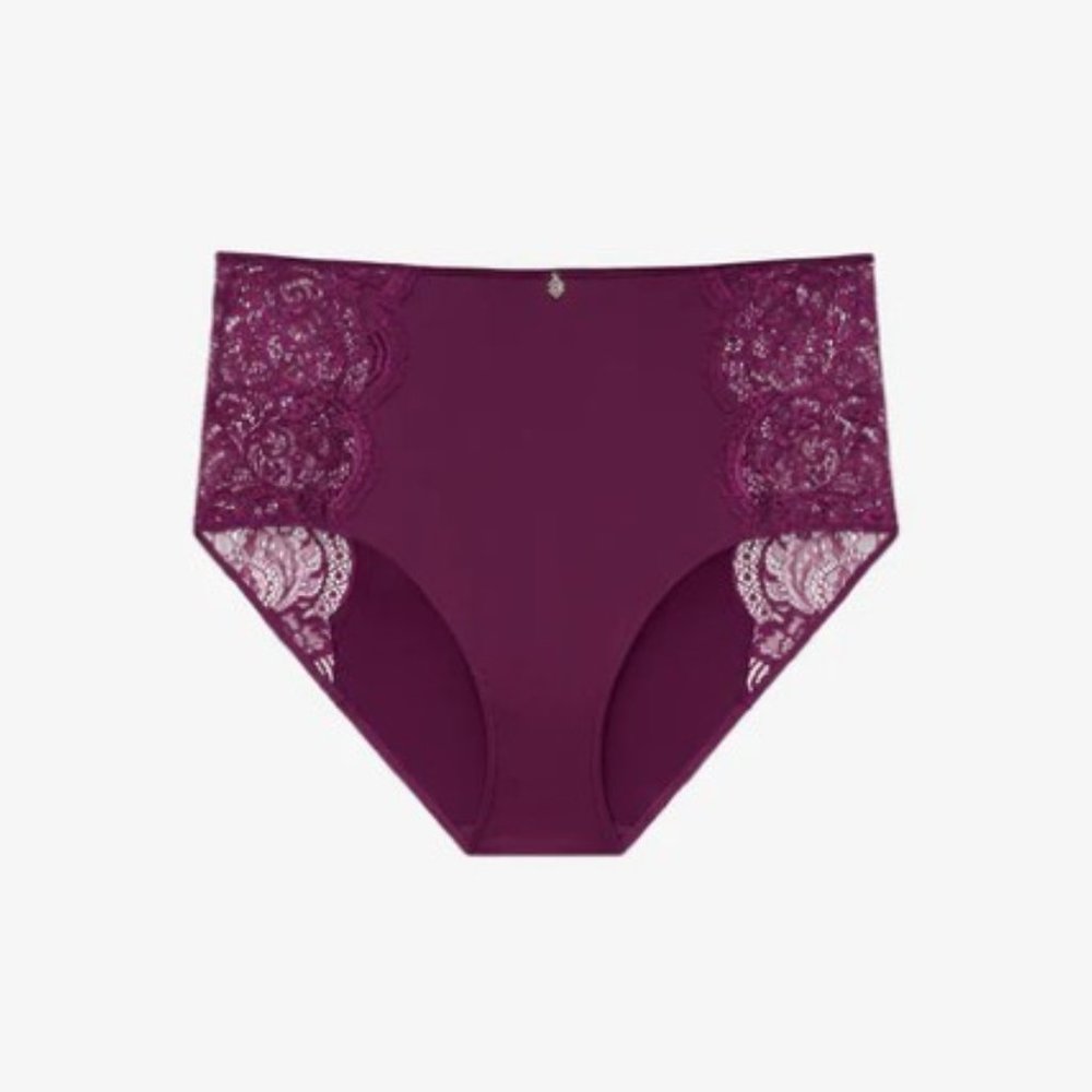 NWT ThirdLove Lace High Brief in Mulberry